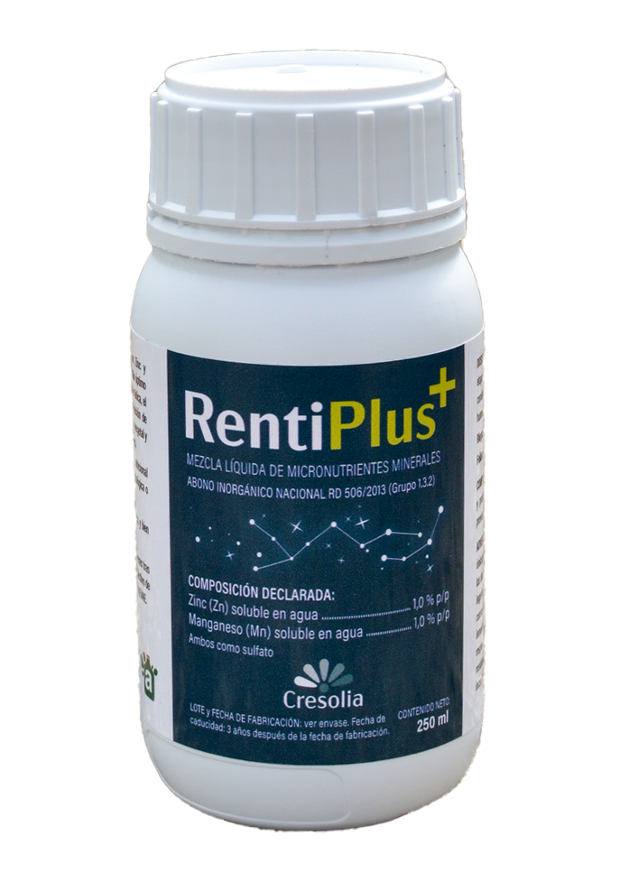rentiplus