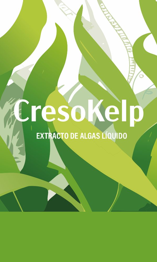 Cresokelp