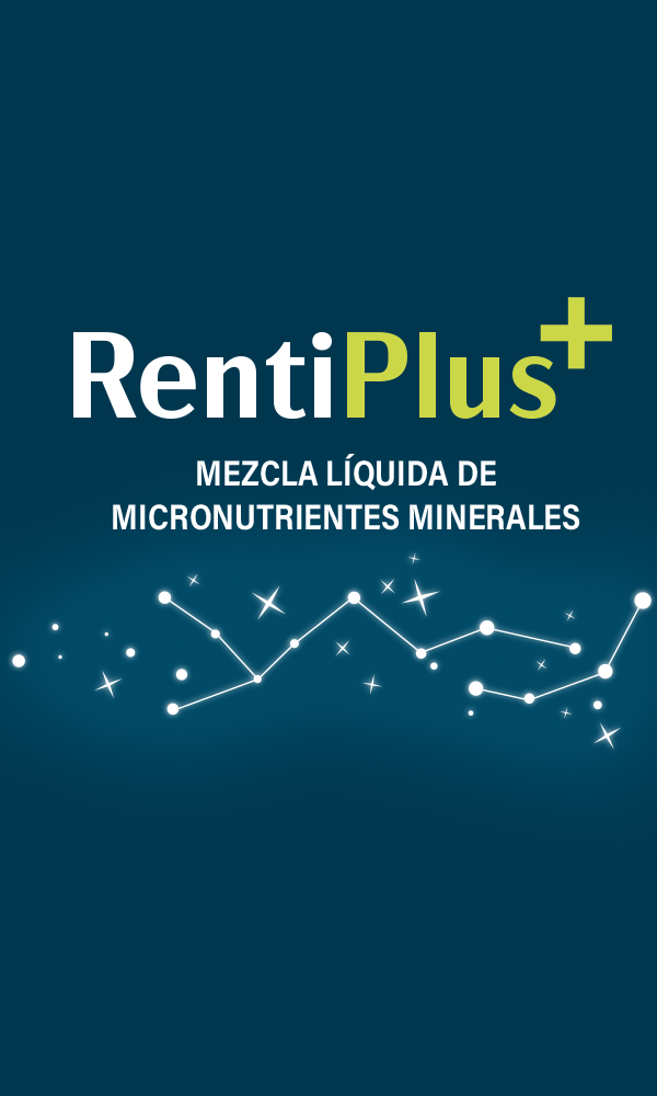 rentiplus